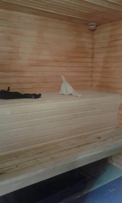 Баня Ковбой — сауны и бани Харькова